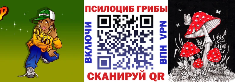 hydra ссылка Шадринск нарко площадка формула Псилоцибиновые грибы Cubensis