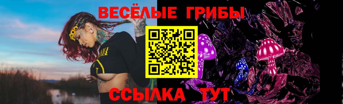 продажа наркотиков  Галлюциногенные грибы Psilocybine cubensis  Шадринск  Вход с VPN  Псилоцибиновые грибы Cubensis 
